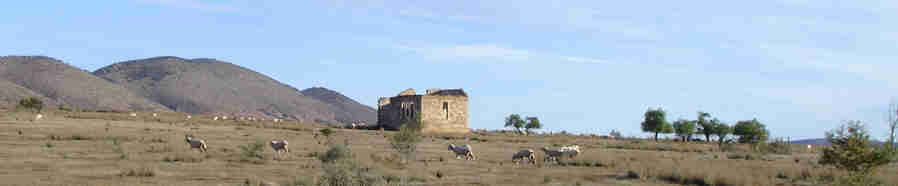 Ruins of Wilson School 2006